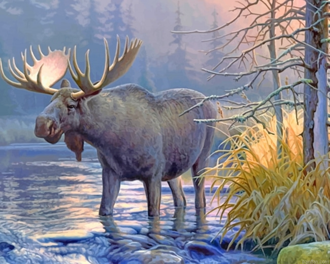 Wildlife Lake Moose New Paint By Numbers.png