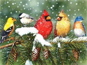 Winter Bird Paint By Numbers.png