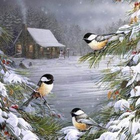 Winter Birds In Snow Paint By Numbers.png