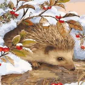 Winter Hedgehog Paint By Numbers.png