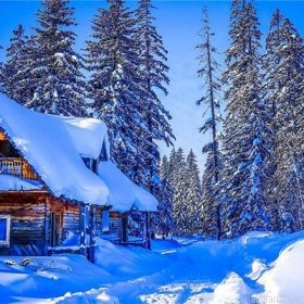 Winter House Paint By Numbers.png
