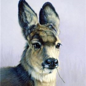Winter Llama Paint By Numbers.png