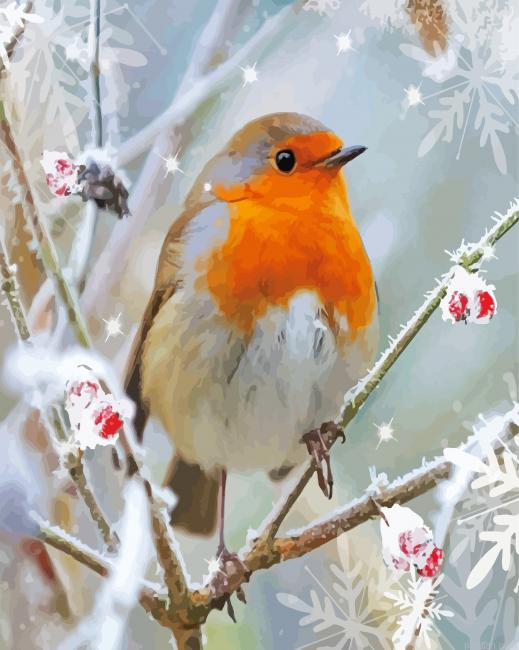 Winter Robin Paint By Numbers.png