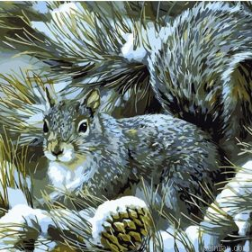 Winter Squirrel Paint By Numbers.png