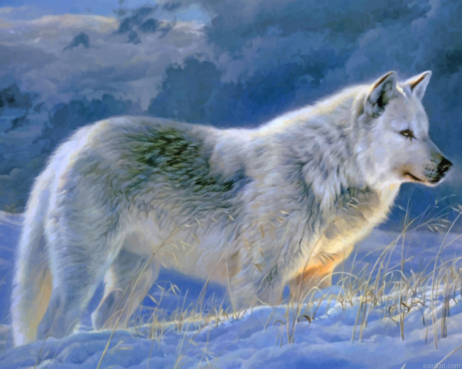 Winter Wolf Paint By Numbers.png