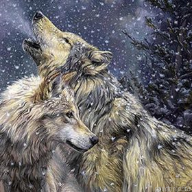 Winter Wolves Paint By Numbers.png