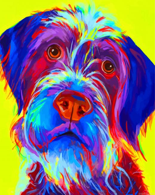 Wirehaired Pointing Griffon Dog Paint By Number.png
