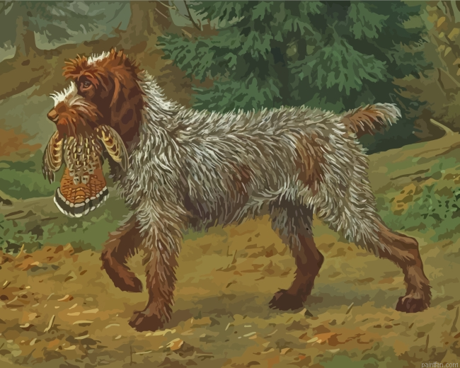 Wirehaired Pointing Griffon Hunting Paint By Number.png