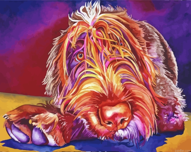 Wirehaired Pointing Griffon Paint By Number.png