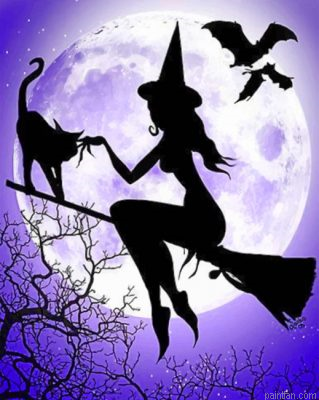 Witch And Her Cat Paint By Number.png