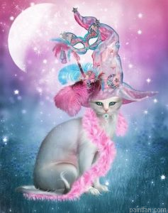 Witch Cat Paint By Numbers.png