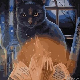 Witch Cat With Book Paint By Numbers.png