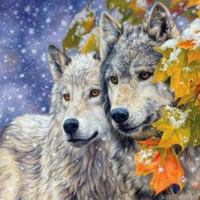 Wolf Couple Paint By Numbers.png