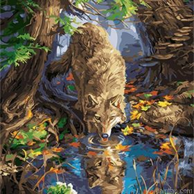 Wolf Drink From A Pond Paint By Numbers.png