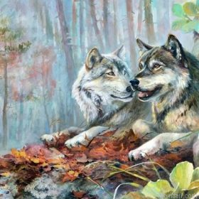 Wolf Mates Paint By Numbers.png