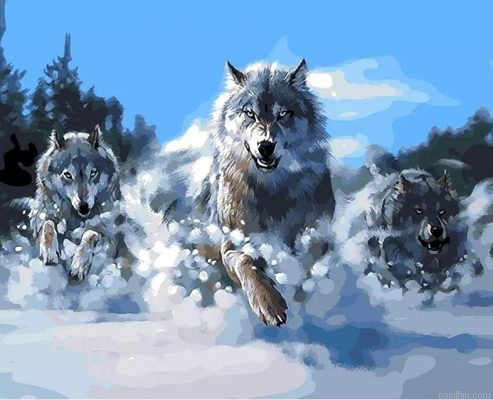 Wolf Pack Paint By Numbers.png