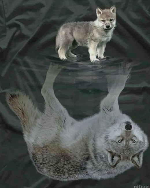 Wolf Reflection New Paint By Numbers.png