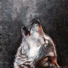 Wolf Spirit Paint By Numbers.png
