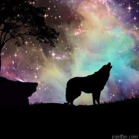 Wolf With Northern Lights Paint By Numbers.png