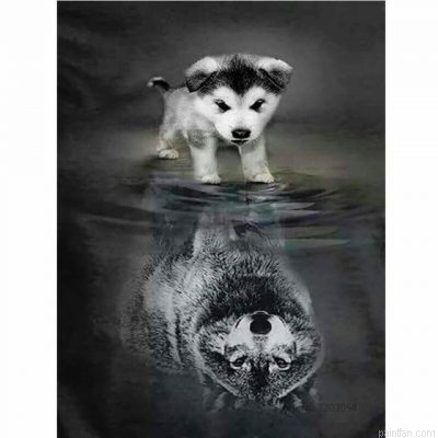 Wolf In The Mirror Paint By Numbers.png