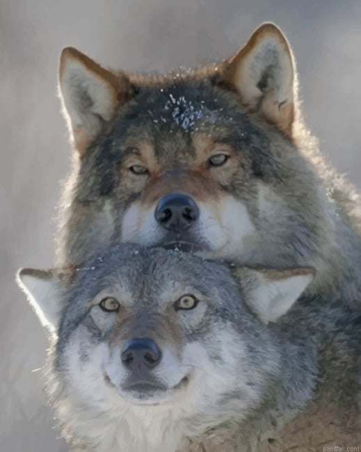 Wolves Couple New Paint By Numbers.png