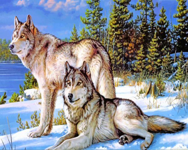 Wolves In Snow Paint By Numbers.png