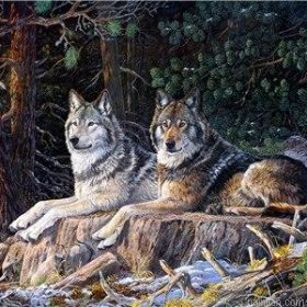 Wolves In Snow Forest Paint By Numbers.png