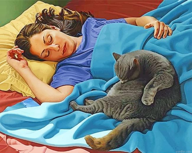 Woman And Cat Sleeping Paint By Number.png
