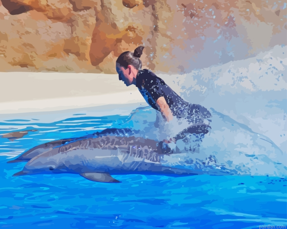 Woman And Dolphins Paint By Numbers.png