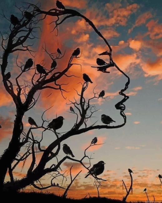 Woman Face Birds New Paint By Numbers.png