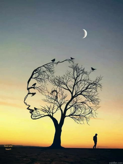 Woman Face Tree Illustration New Paint By Numbers.png