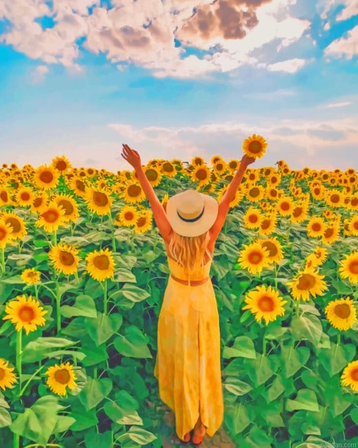 Woman In A Field Of Sunflowers New Paint By Numbers.png