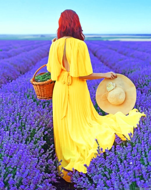 Woman In A Lavender Field New Paint By Numbers.png
