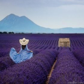 Woman In Lavender Field Paint By Numbers.png