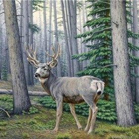 Woods Deer Paint By Numbers.png