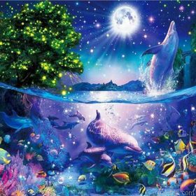 World Marine Animals Paint By Numbers.png