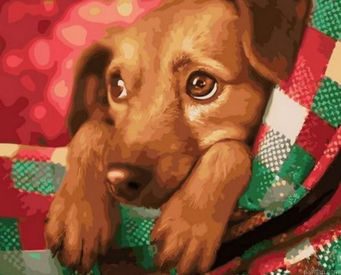 Xmas Dog Paint By Numbers.png