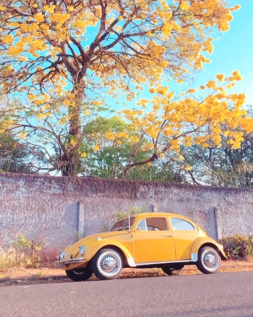 Yellow Aesthetic Car New Paint By Numbers.png