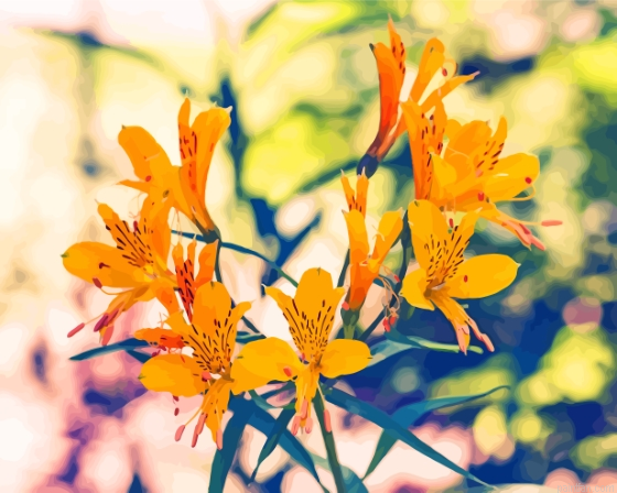 Yellow Alstroemeria Flowers Paint By Numbers.png