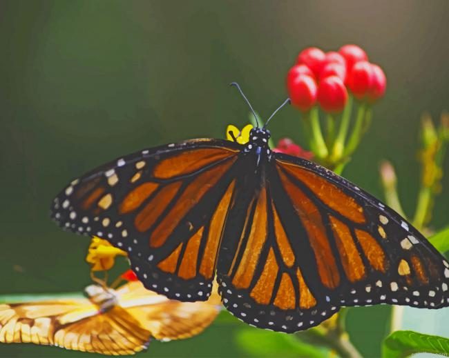 Yellow And Black Butterfly Paint By Number.png