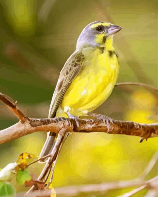Yellow Canary Paint By Number.png