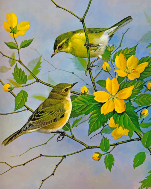 Yellow Finch Birds Paint By Numbers.png