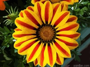 Yellow Flower Paint By Numbers.png