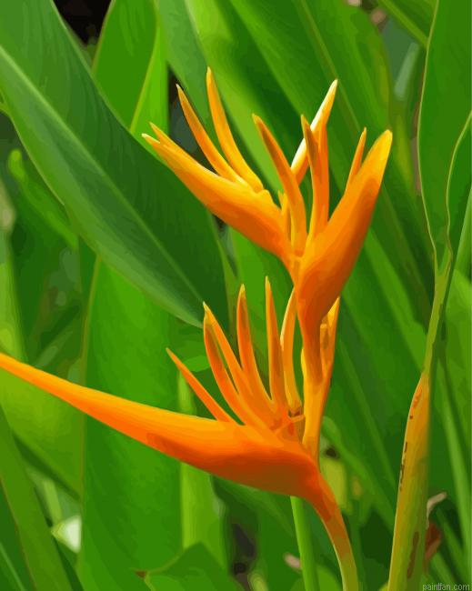 Yellow Heliconia Paint By Numbers.png