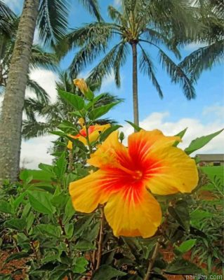 Yellow Hibiscus Paint By Number.png