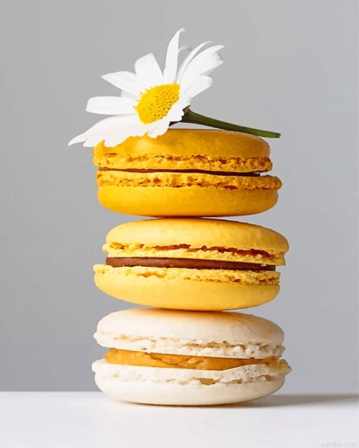 Yellow Macarons New Paint By Numbers.png