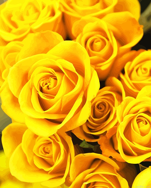 Yellow Roses New Paint By Numbers.png