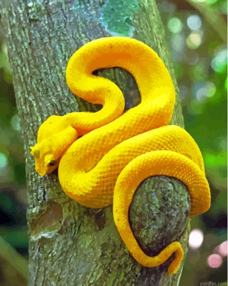 Yellow Snake Viper Paint By Numbers.png