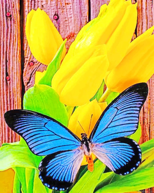 Yellow Tulip And Blue Butterfly New Paint By Numbers.png