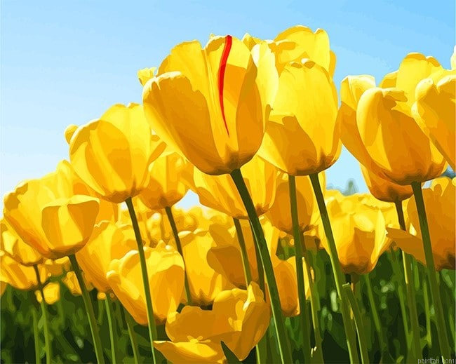 Yellow Tulip Flower New Paint By Numbers.png